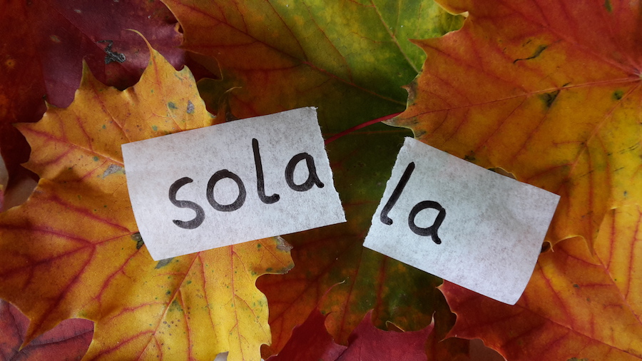 Sola_klein.jpeg